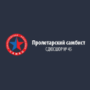 Специализированная детско - юношеская школа №45 Пролетарский самбист