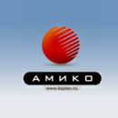 Амико Консалтинговая Компания