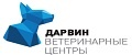 Дарвин