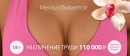 Бюст