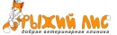 Рыжий лис ветеринарная клиника