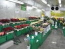 Город Цветов