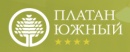 Платан Южный