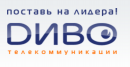 ДИВО реальные потребительские 